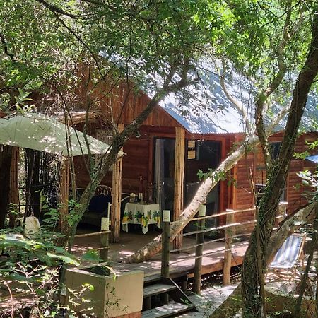 Iris Retreat & Island Day Spa Hartbeespoort Exteriör bild
